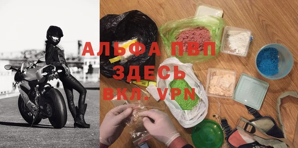 мяу мяу мука Бородино