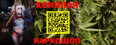 каннабис Кунгур