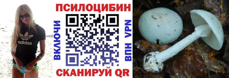 Галлюциногенные грибы мухоморы  Гудермес 