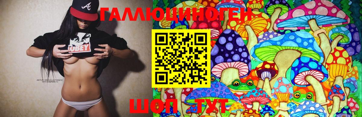 Псилоцибиновые грибы MAGIC MUSHROOMS  Вход с VPN  Гудермес 