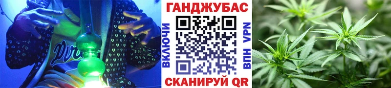 где можно купить наркотик  Гудермес  Бошки Шишки White Widow 